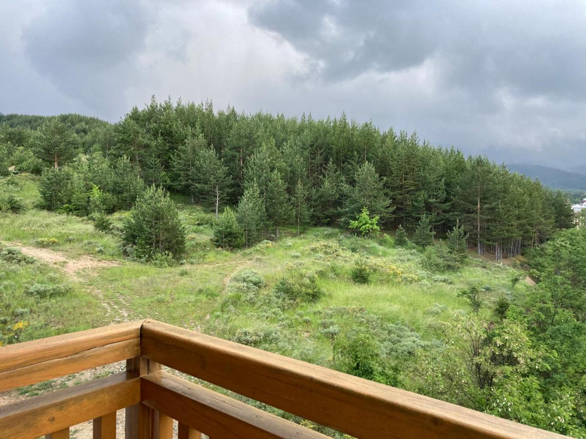 Mirabell Apartment Bansko - Mountain View & Fireplace Esterno foto