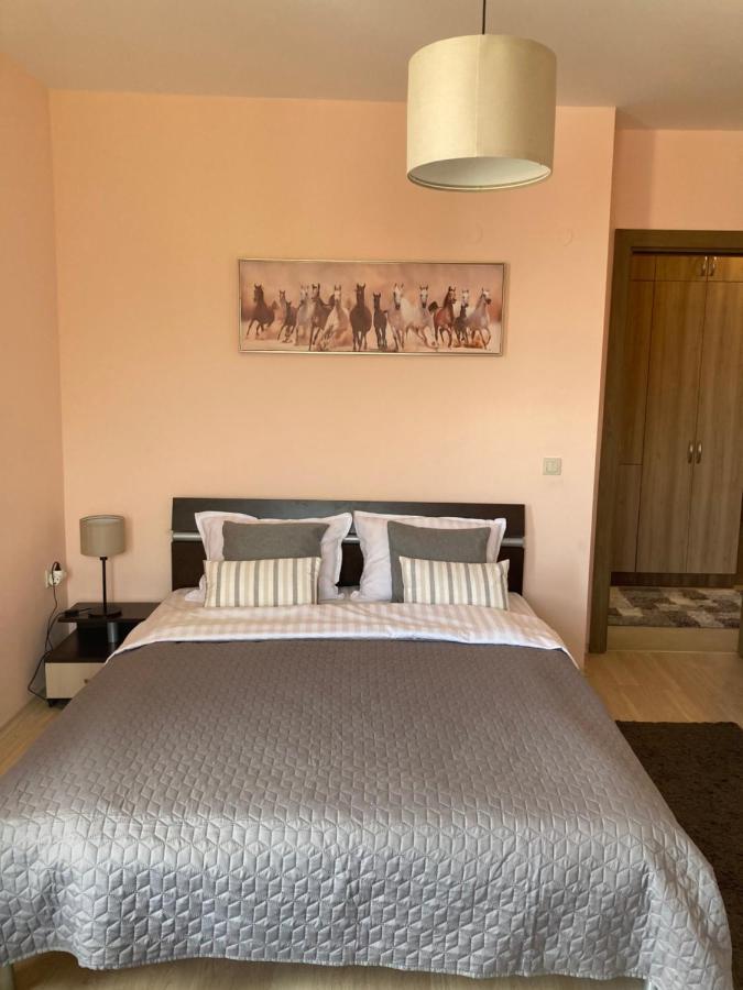 Mirabell Apartment Bansko - Mountain View & Fireplace Esterno foto